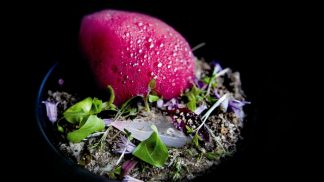 Os verdadeiros festivais de verão