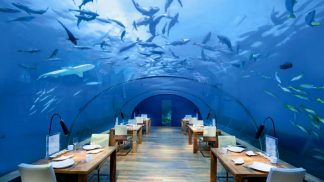 12 restaurantes onde tem de ir