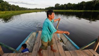 Perdidos na selva amazónica