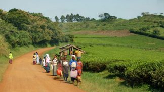 O jornalista Paulo Salvador no Uganda