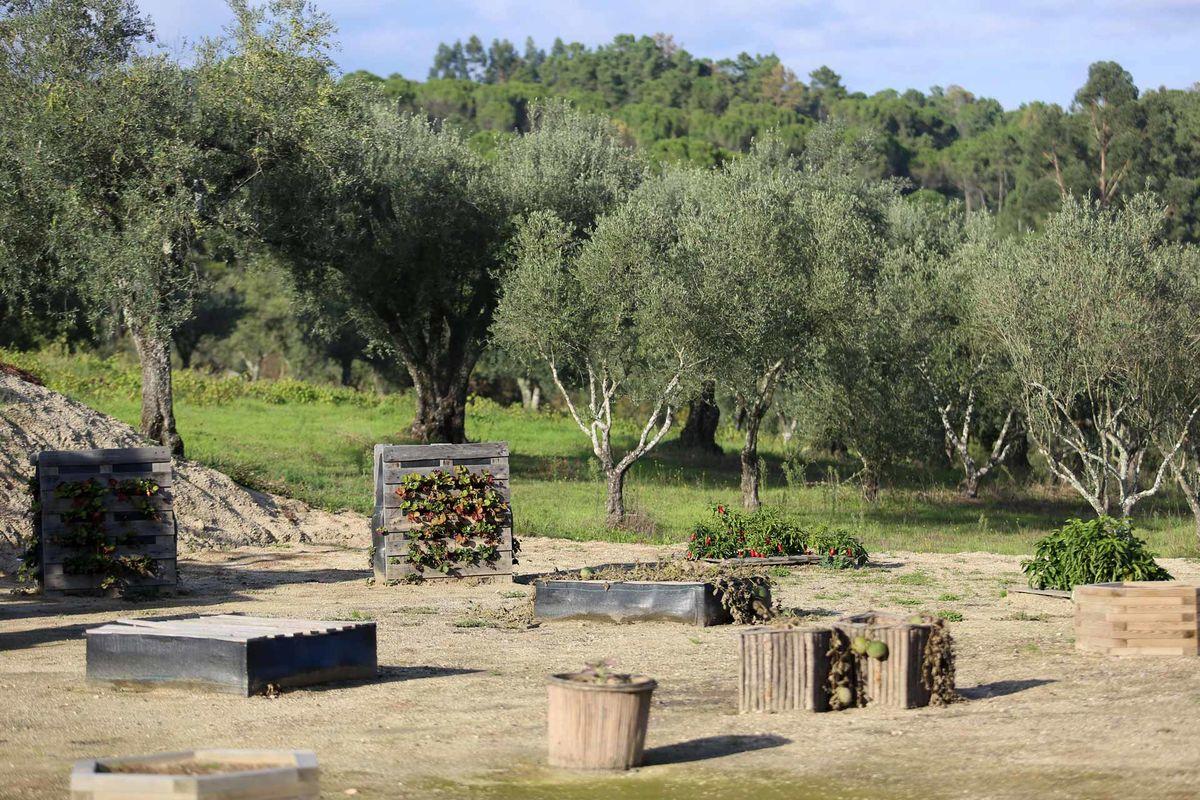 FDS_22845245_BINARY_GI16102015DIANAQUINTELA021