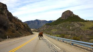 Viagem de autocarro entre a Patagónia e o fim do mundo (1)