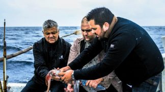 Açores: a próxima tendência da gastronomia regional?