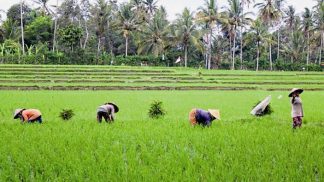 As viagens dos leitores – fevereiro