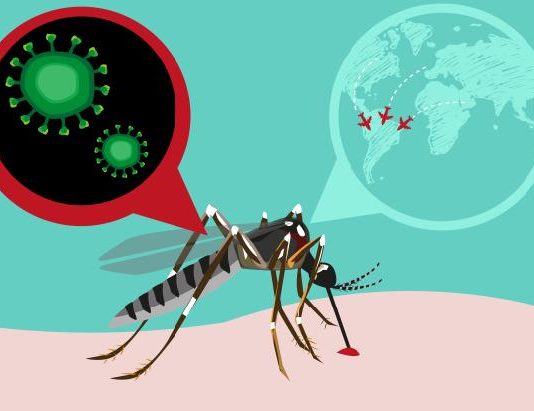 Brasil alerta cuidados a ter contra o vírus Zika