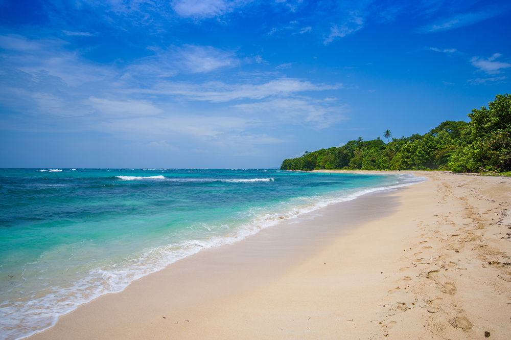 shutterstock_309967472