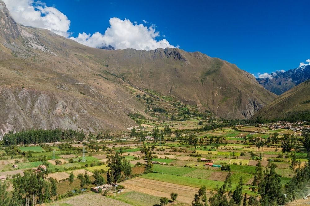 shutterstock_352657694