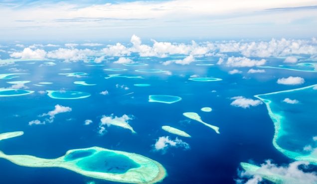 shutterstock_268768424