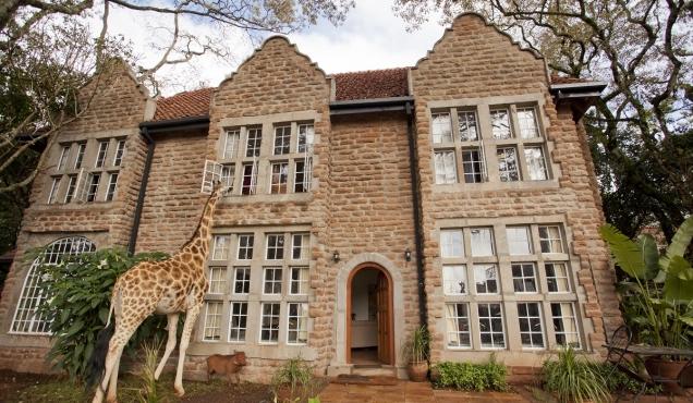 tumblr_mksg0a3EDo1r2doe0o8_1280