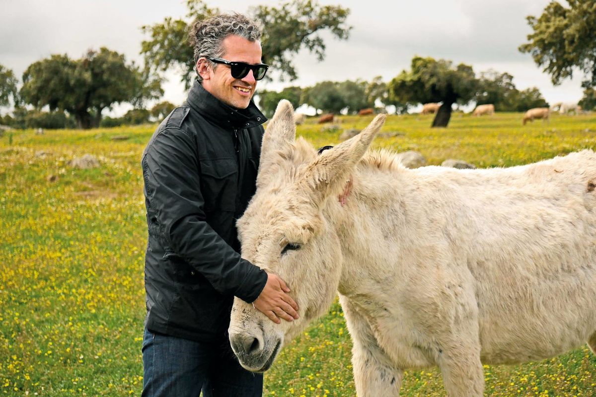 13217377_10154198366044766_8783856312307623531_o