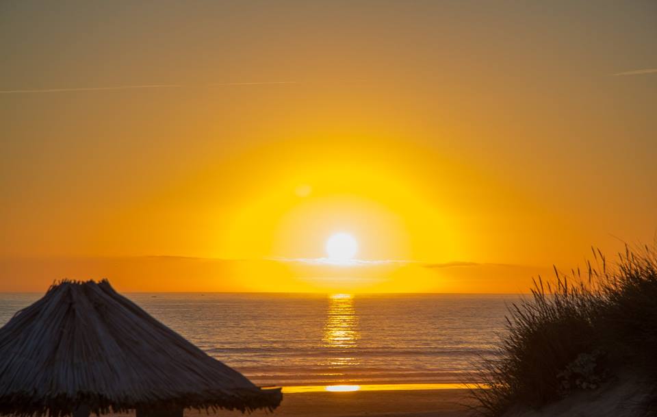 13566940_640189666134361_5692193753278869507_n