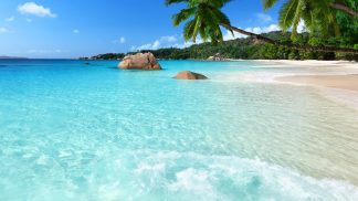 O paraíso pelos olhos de José Luís Peixoto: para ler, ver e ouvir