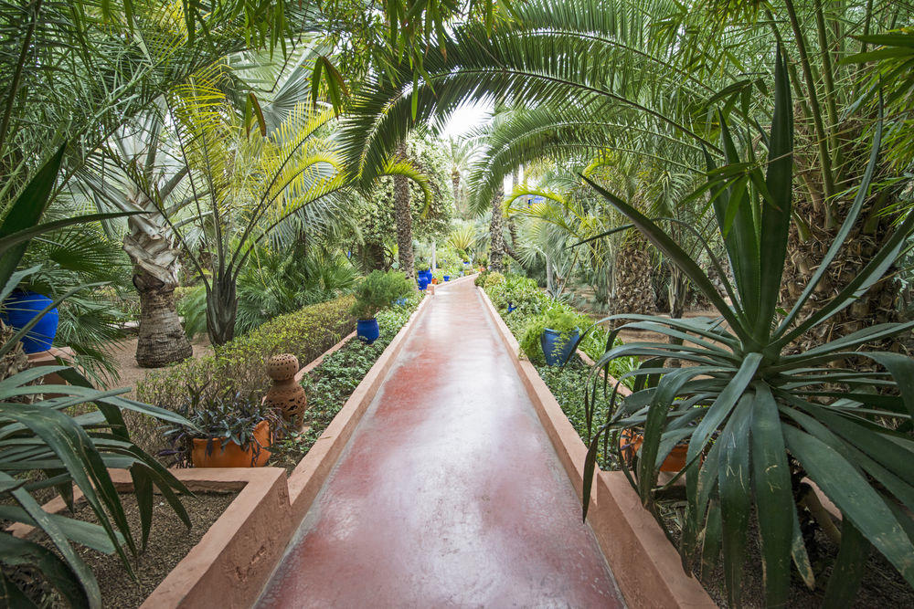 shutterstock_197729186