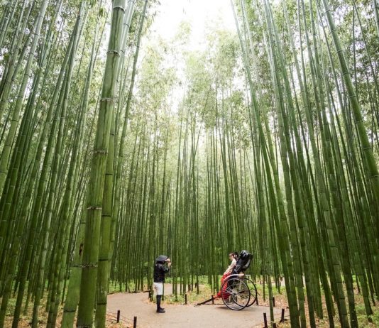 Japão: Um destino tão completo onde a dificuldade é fazer o itinerário