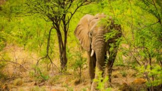 Volta ao Mundo na África do Sul com José Luís Peixoto (RTP 3) Volta ao Mundo na África do Sul com José Luís Peixoto (RTP 3)