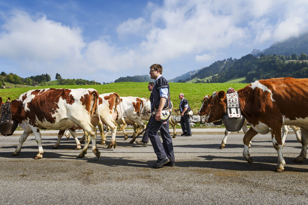 shutterstock_335523227