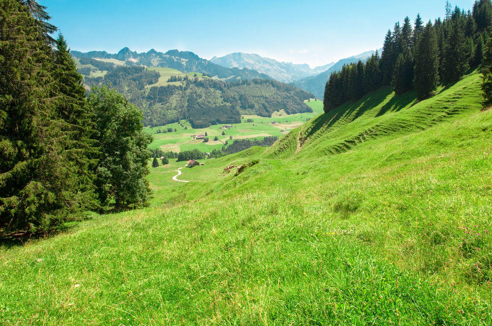 shutterstock_35830996