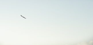 O viajante cego que deu a volta ao mundo a pé