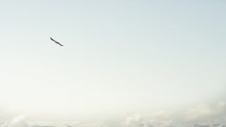 O viajante cego que deu a volta ao mundo a pé O viajante cego que deu a volta ao mundo a pé