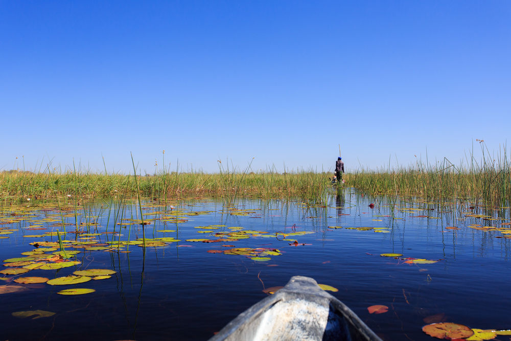 shutterstock_219557272