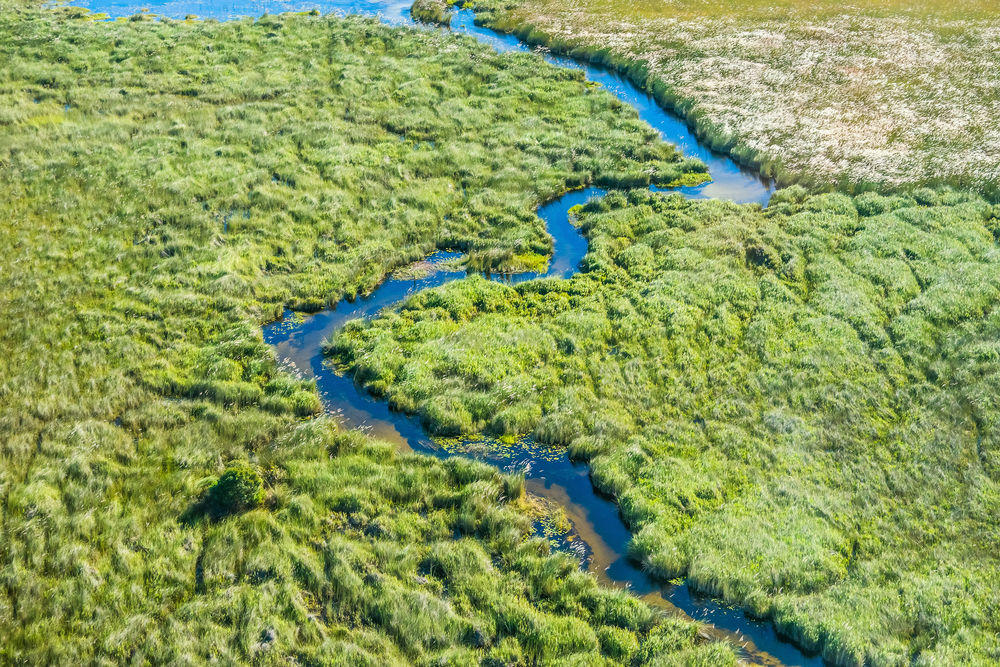 shutterstock_383037136