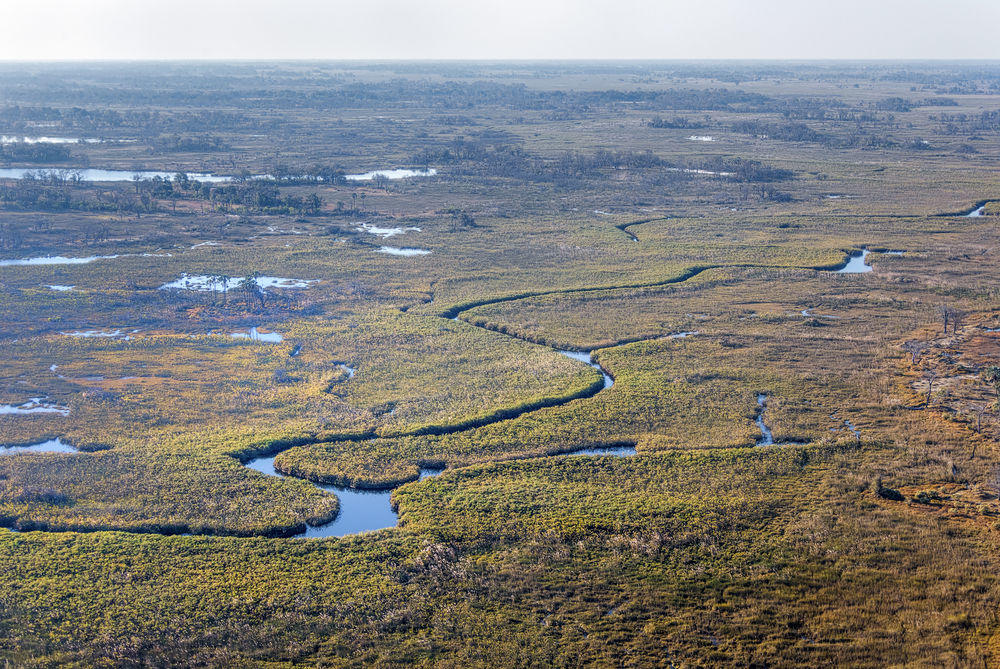 shutterstock_425957455