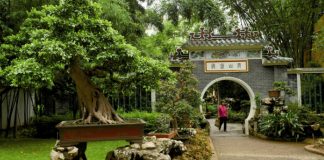 Volta ao Mundo em Macau com José Luís Peixoto