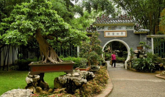 Volta ao Mundo em Macau com José Luís Peixoto