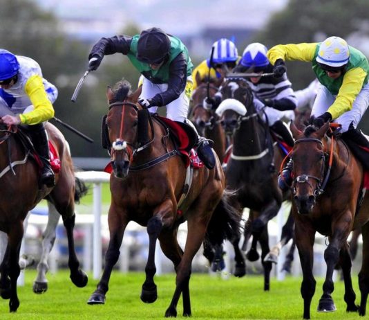 Viagem à Irlanda para apostar numa das maiores corridas de cavalos Galway Races: apostas em corridas de cavalos na Irlanda