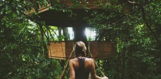 Casas na árvore: um sonho de infância que pode tornar realidade