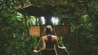 Casas na árvore: um sonho de infância que pode tornar realidade