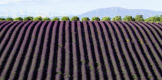 Revista Volta ao Mundo: viagens dos leitores