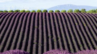 Revista Volta ao Mundo: viagens dos leitores