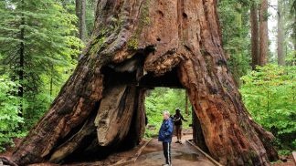 Já não vai poder visitar um dos túneis mais famosos da Califórnia