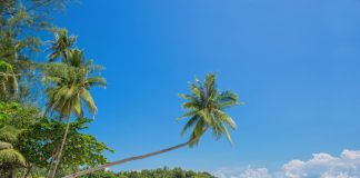 Pode ter uma ilha de sonho com o seu nome