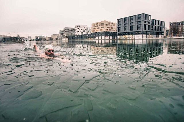 15803261_1210076502403934_7506708264734687232_n