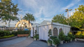 Na Disney também se acampa Na Disney também se acampa