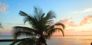 Viagens dos leitores