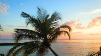 Viagens dos leitores