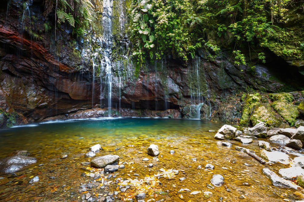 shutterstock_478102966