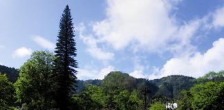 Viagens dos leitores