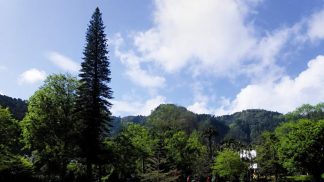 Viagens dos leitores