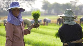 Viagem pelos sabores da Tailândia (Episódio 4 – RTP3)