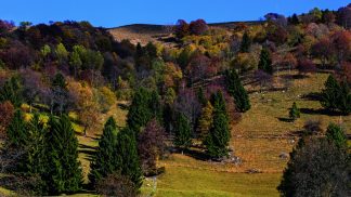 Viagem na Eslovénia com a melhor chef do mundo