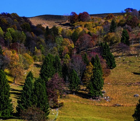 Viagem na Eslovénia com a melhor chef do mundo