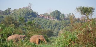 Volta ao Mundo na Tailândia (Episódio 1 - RTP3)