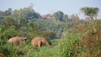 Volta ao Mundo na Tailândia (Episódio 1 – RTP3) Volta ao Mundo na Tailândia (Episódio 1 - RTP3)