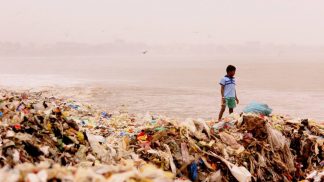 Esta praia sofreu uma mudança radical: veja como está agora