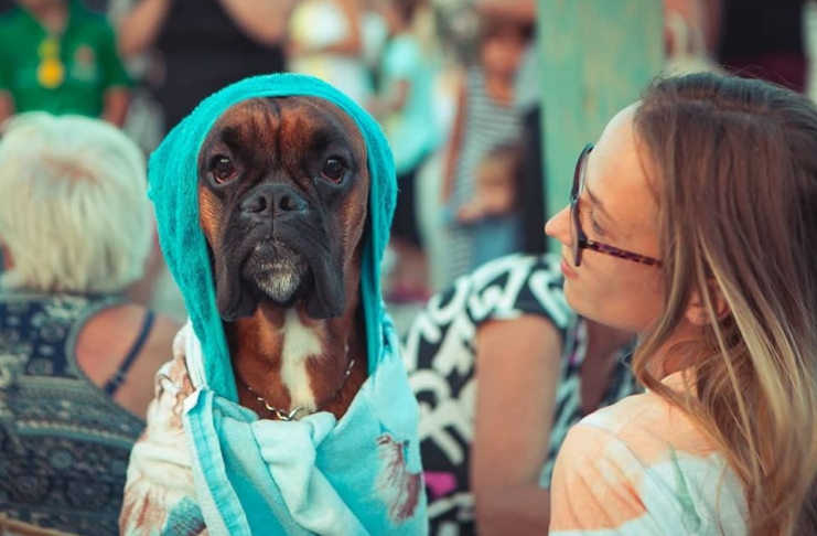 20954096_679478158930189_1473951377463612968_n