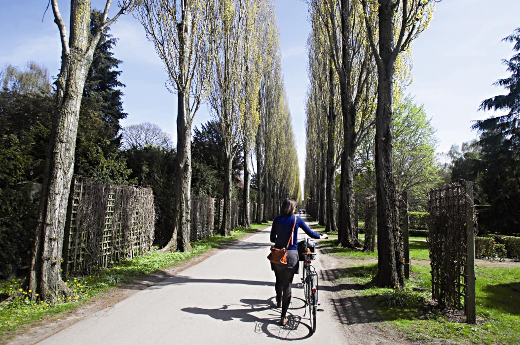 Cemitério Asistens Kirkegard 3409